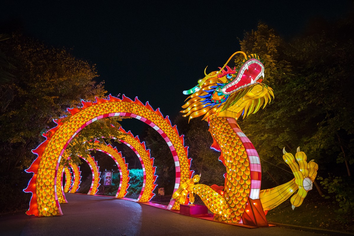 The St. Louis Zoo will be hosting an Animals Aglow starting March 13 through May 5 with more than 60 larger-than-life Chinese lanterns and interactive light displays.