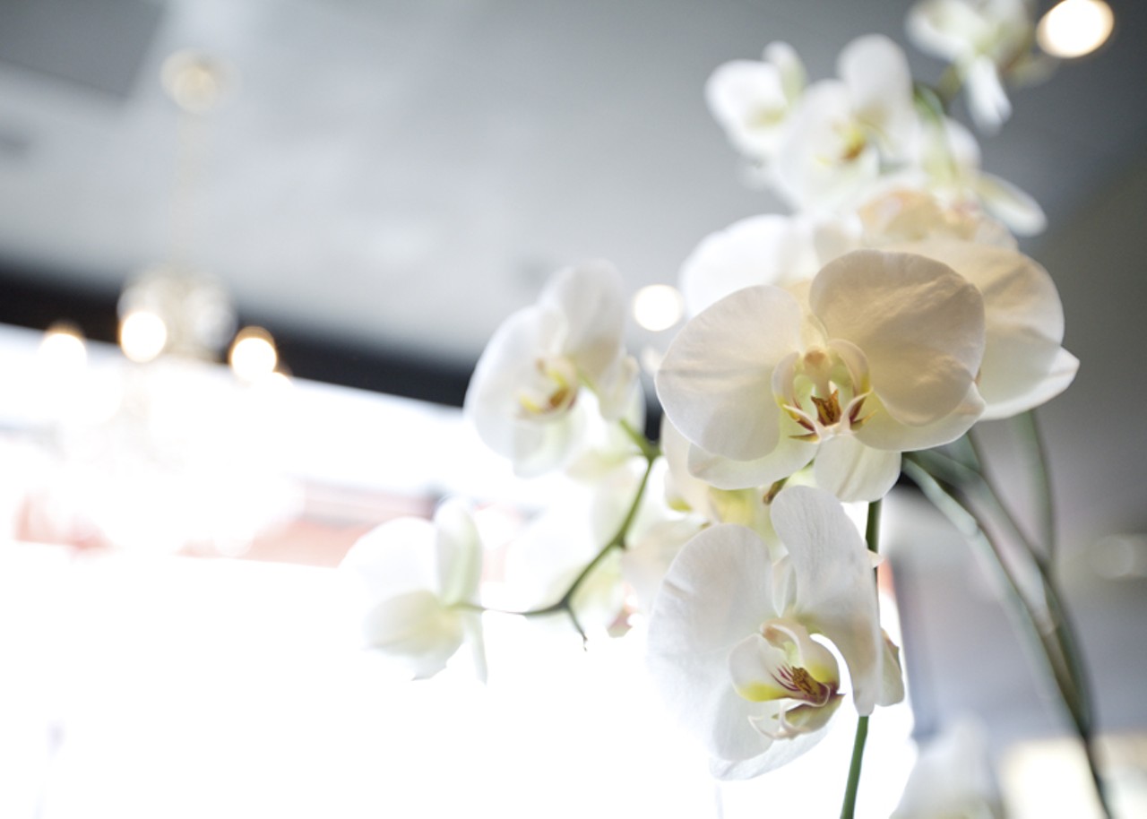 Upon entering Chez Leon, a large plume of orchids sitting on the host table greets each customer.