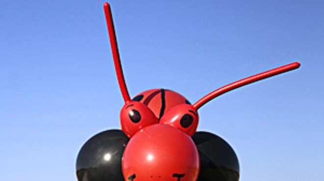A ladybug by Thad James
