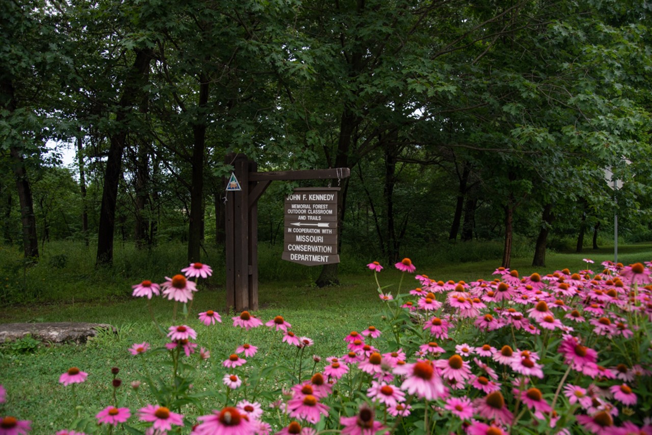 Dedicated in 1964, the John F. Kennedy Memorial Forest at Forest Park is a great place for nature walks and birdwatching.
