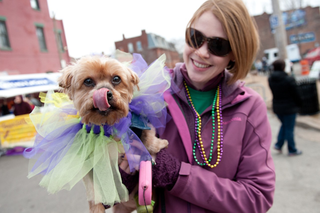 Beggin' Pet Parade, with Andy Cohen and Barenaked Ladies