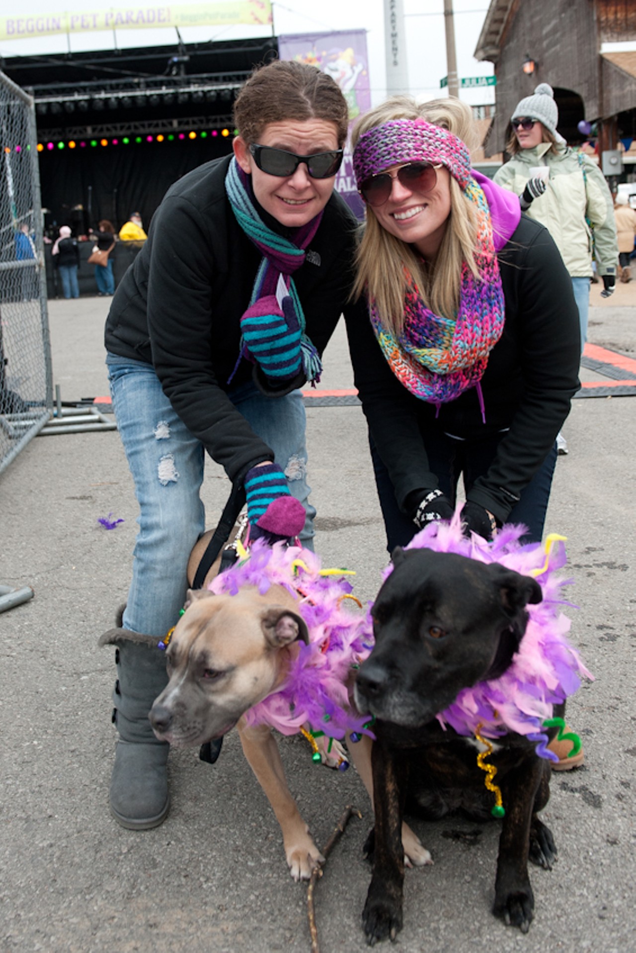 Beggin' Pet Parade, with Andy Cohen and Barenaked Ladies