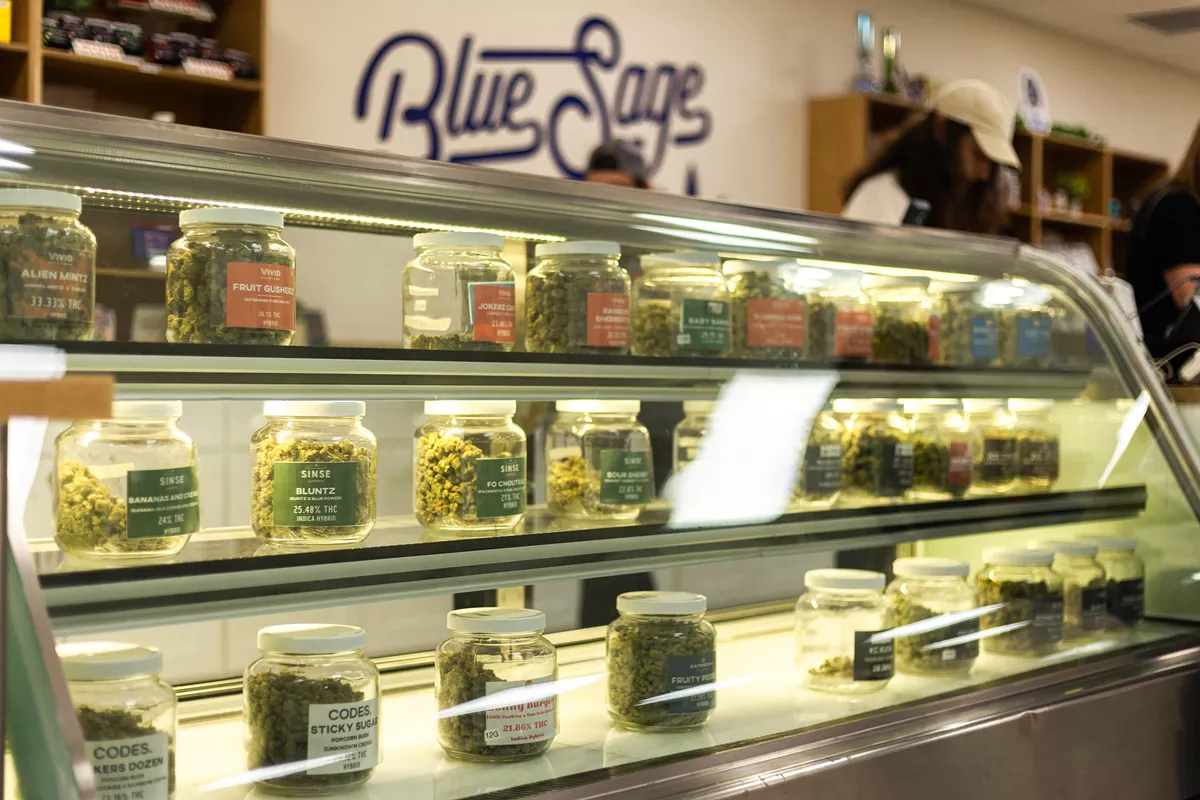 Blue Sage Cannabis Deli opened its doors on February 23 in the prime spot between Hi-Pointe Drive-In and Hi-Pointe Theatre.