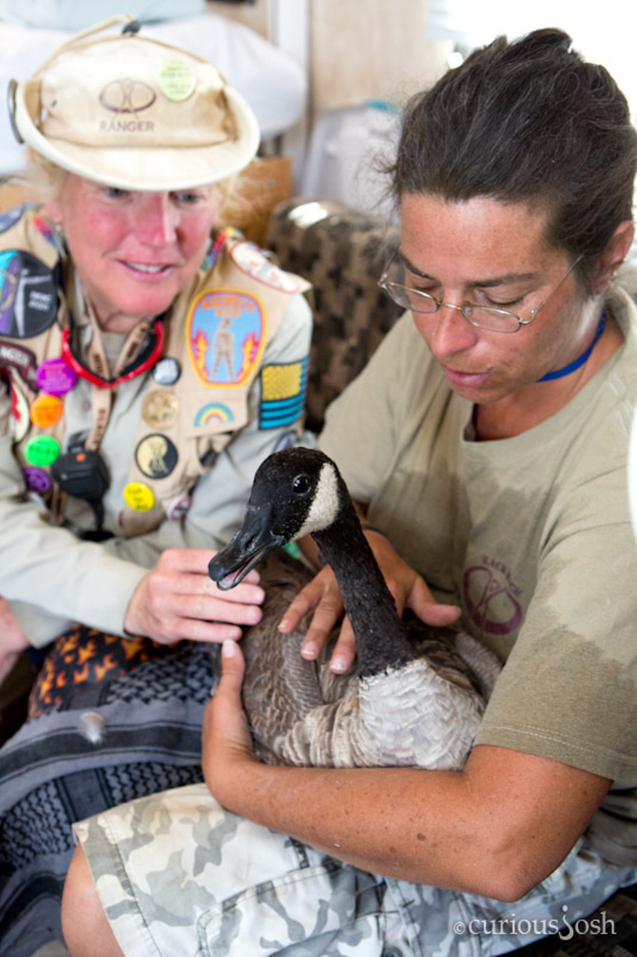 Rangers Beauty and Halston care for the first disoriented and dehydrated goose to land at Burning Man. In a tribute to Ranger diversity, Halston's certified veterinary technician training combined with another Ranger's wild bird handling license allowed for the distraught goose's rehabilitation and safe release back into the wild.