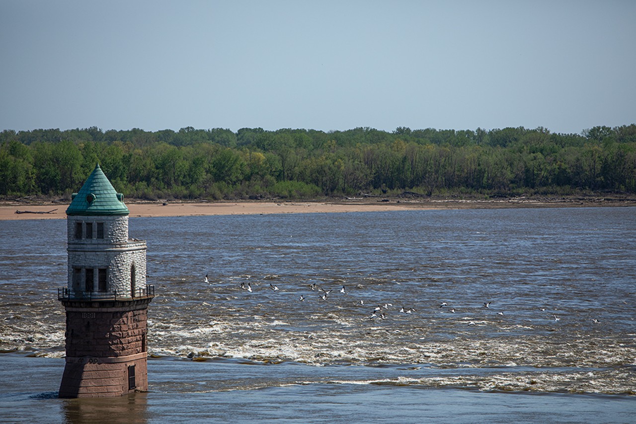 Migratory birds flock across the Mississippi River towards Illinois.