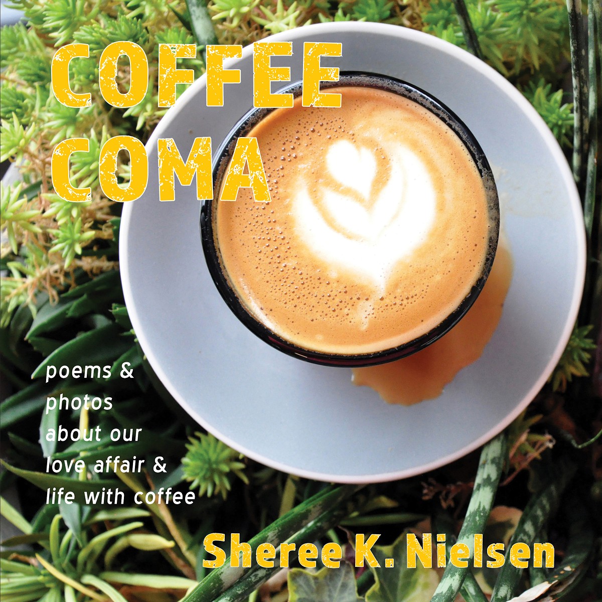 Coffee Coma book cover