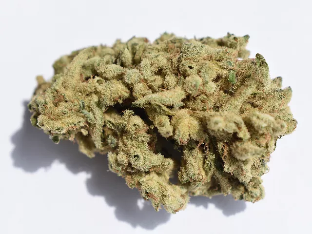 Sinse's"Miracle Alien Cookies" hybrid, purchased at the Grove location of Swade Cannabis.