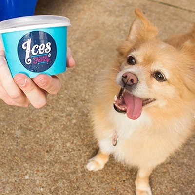 Ices Plain & Fancy(2256 South 39th Street, icesplainandfancy.com)If you're headed out to Ices Plain & Fancy, bring your little doggie along, too. They have a special dog ice cream there just for your pup and also a little patio on which you can enjoy your treats together.