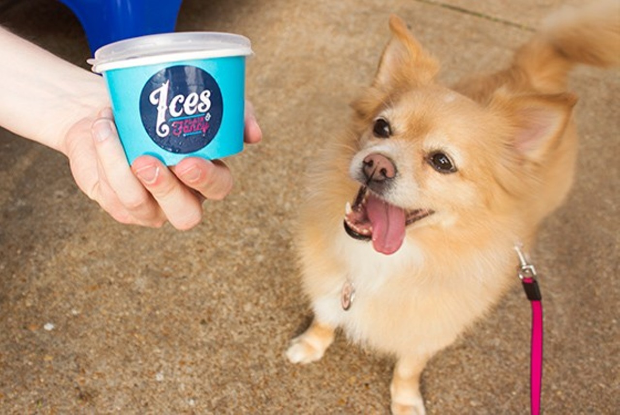 Ices Plain & Fancy
(2256 South 39th Street, icesplainandfancy.com)
If you're headed out to Ices Plain & Fancy, bring your little doggie along, too. They have a special dog ice cream there just for your pup and also a little patio on which you can enjoy your treats together.