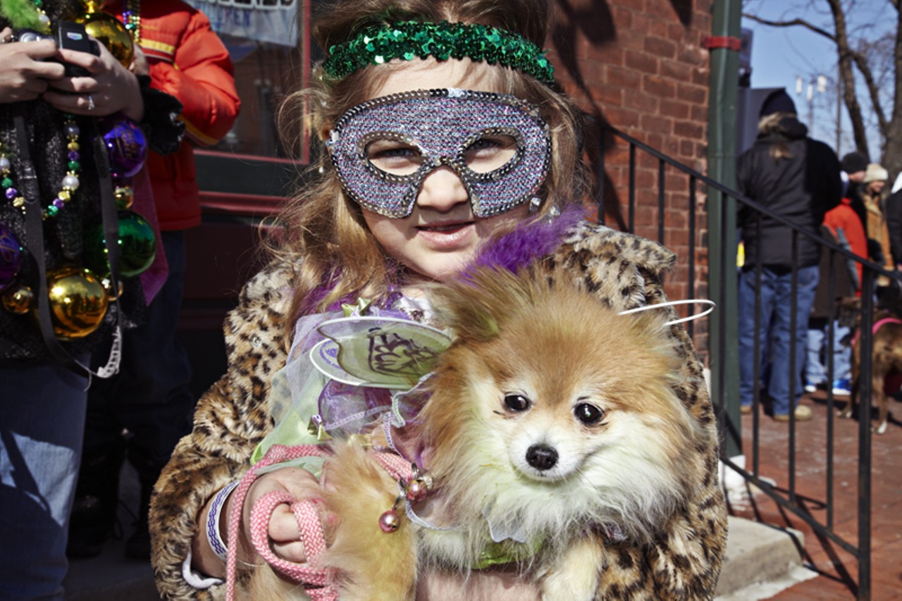 Dogs on Parade in Soulard
