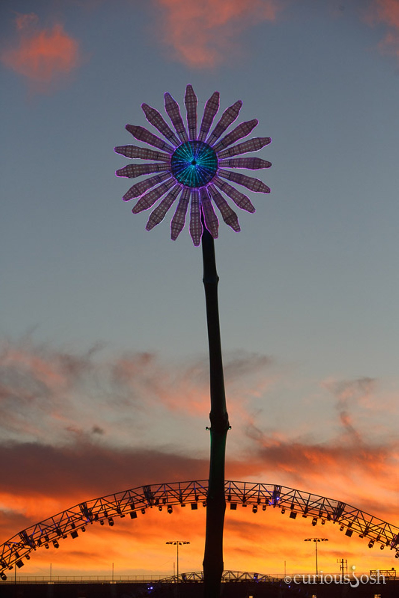 Electric Daisy Carnival 2013: Scene and Be Seen