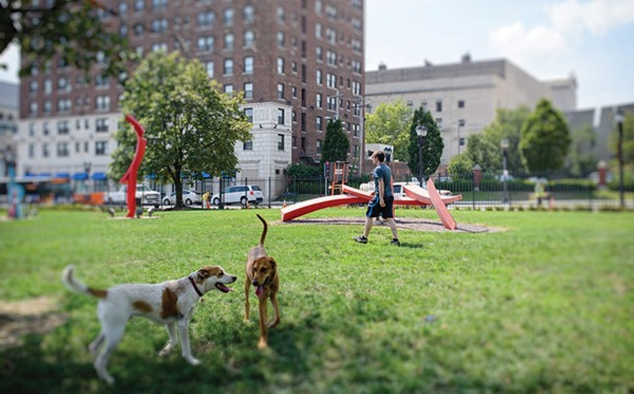 Wag your tail at the Ellen Clark Sculpture (and Unofficial Dog) Park
Let the kids (and the dog) run wild at Ellen Clark Sculpture Park. It&#146;s fenced in and lots of fun.
Find out more here.
Photo credit: Stephen Davis