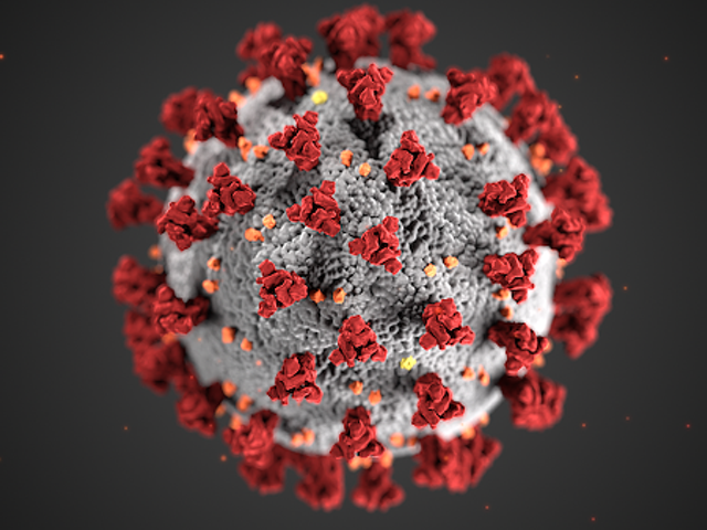Illustration of the COVID-19 virus.