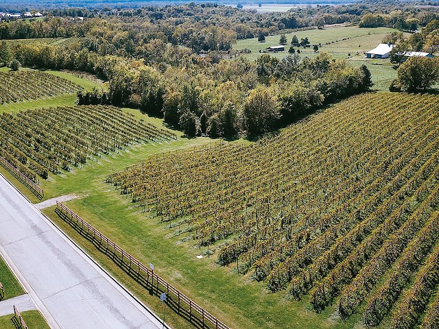 Augusta is a popular Missouri winery tour destination.