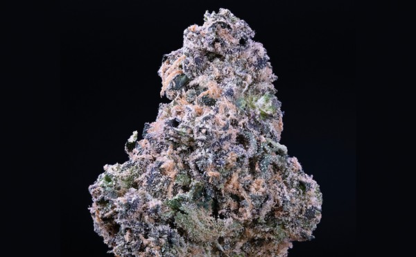 Purple #43 is stunning, with violet hues, splashes of forest green and a frosty layer of trichomes.