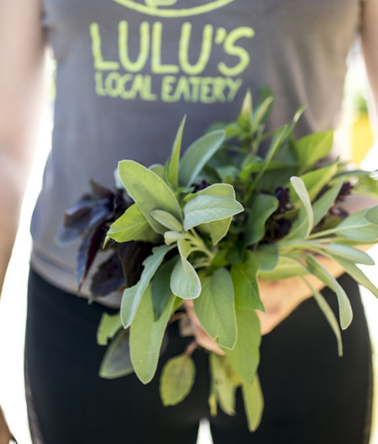 Herbs from Lulu's patio garden, freshly cut for centerpieces.