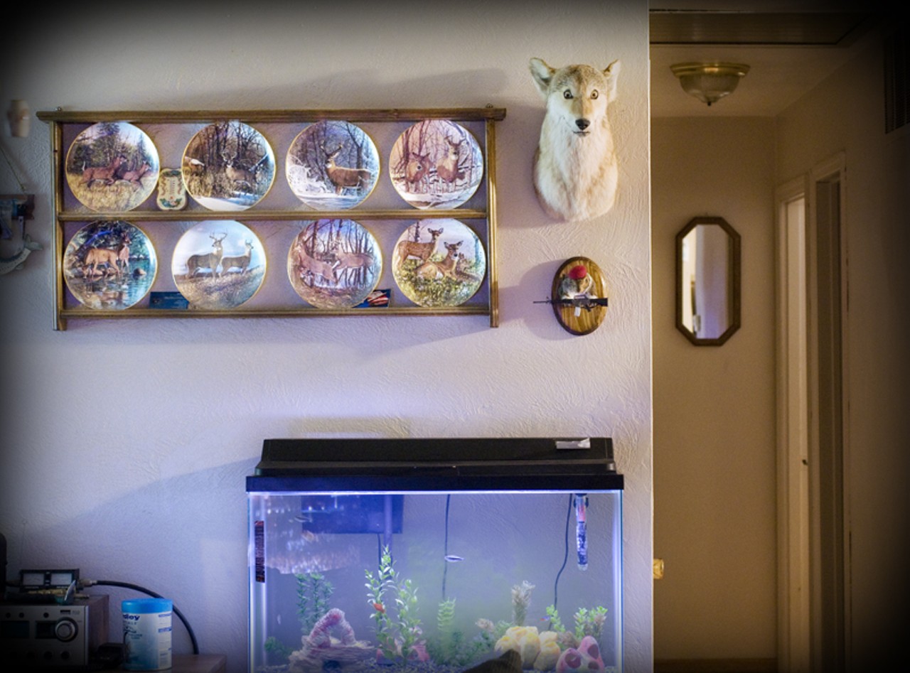 Rick's living room. Deer plates, a little military squirrel and a coyote head above the fish tank.