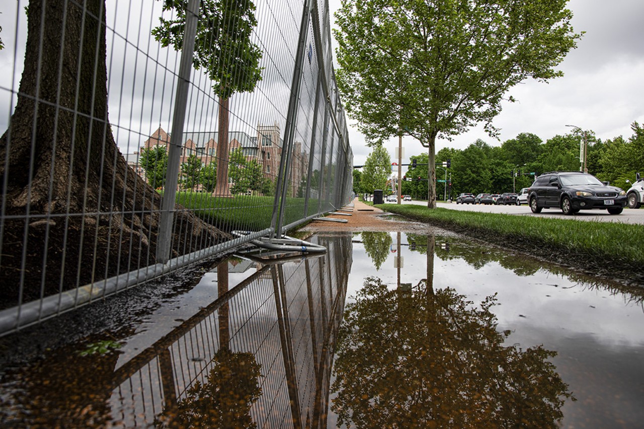 A metal fence that surrounds Wash U’s Danforth Campus reflects off a puddle of water along Skinker.