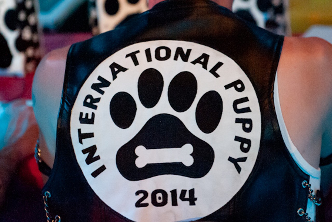NSFW: 2015 International Puppy Contest at Bad Dog Bar & Grill