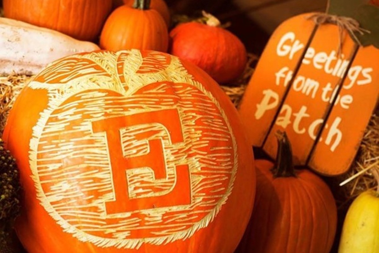 Pumpkin Patches at Eckert's
Getting a pumpkin from Eckert&#146;s is a St. Louis tradition.
Find out more here.
Photo credit: Eckert's Farms