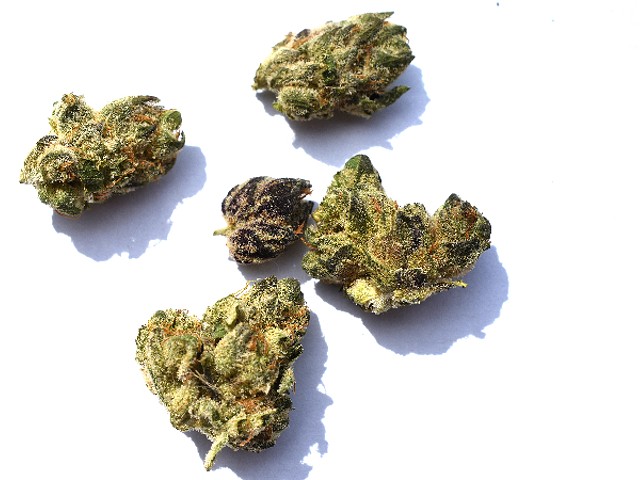 Review: Tommy Chims Smokes Illicit Gardens' "Purple Chem" Strain