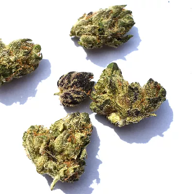 Review: Tommy Chims Smokes Illicit Gardens' "Purple Chem" Strain