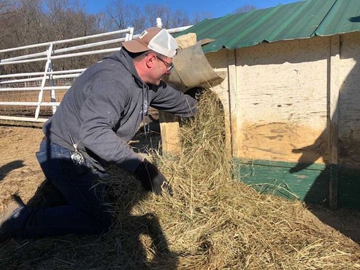 Riverfront Times Volunteers at Longmeadow Rescue Ranch [PHOTOS]