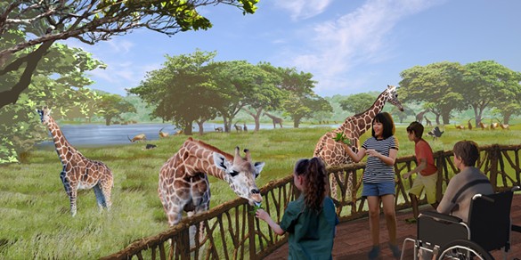 Giraffe feeding overlooking Savanna Safari at Saint Louis Zoo WildCare Park