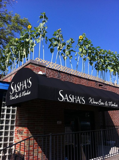 Sasha's Wine Bar & Market