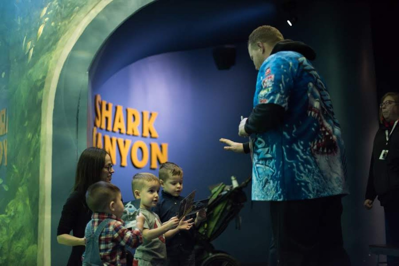 Shark Canyon Thrills Shark-Loving Kids at St. Louis Aquarium at Union Station