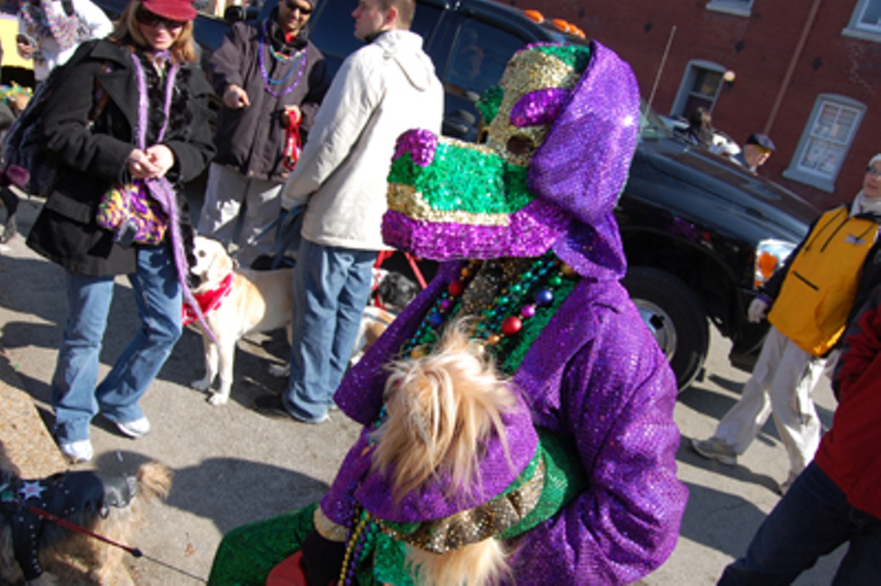 Soulard Dog Parade