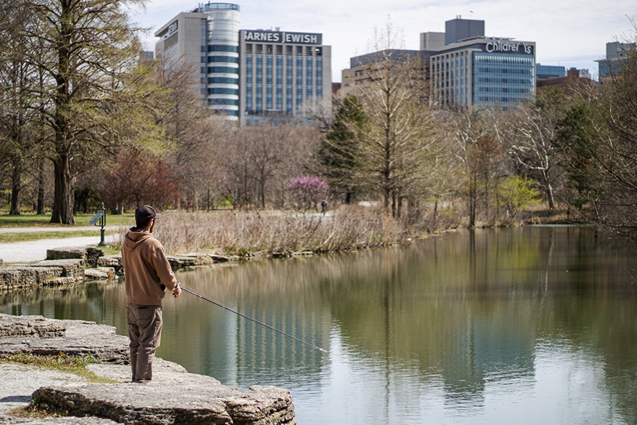 A man fishes at a small lake in Forest Park.