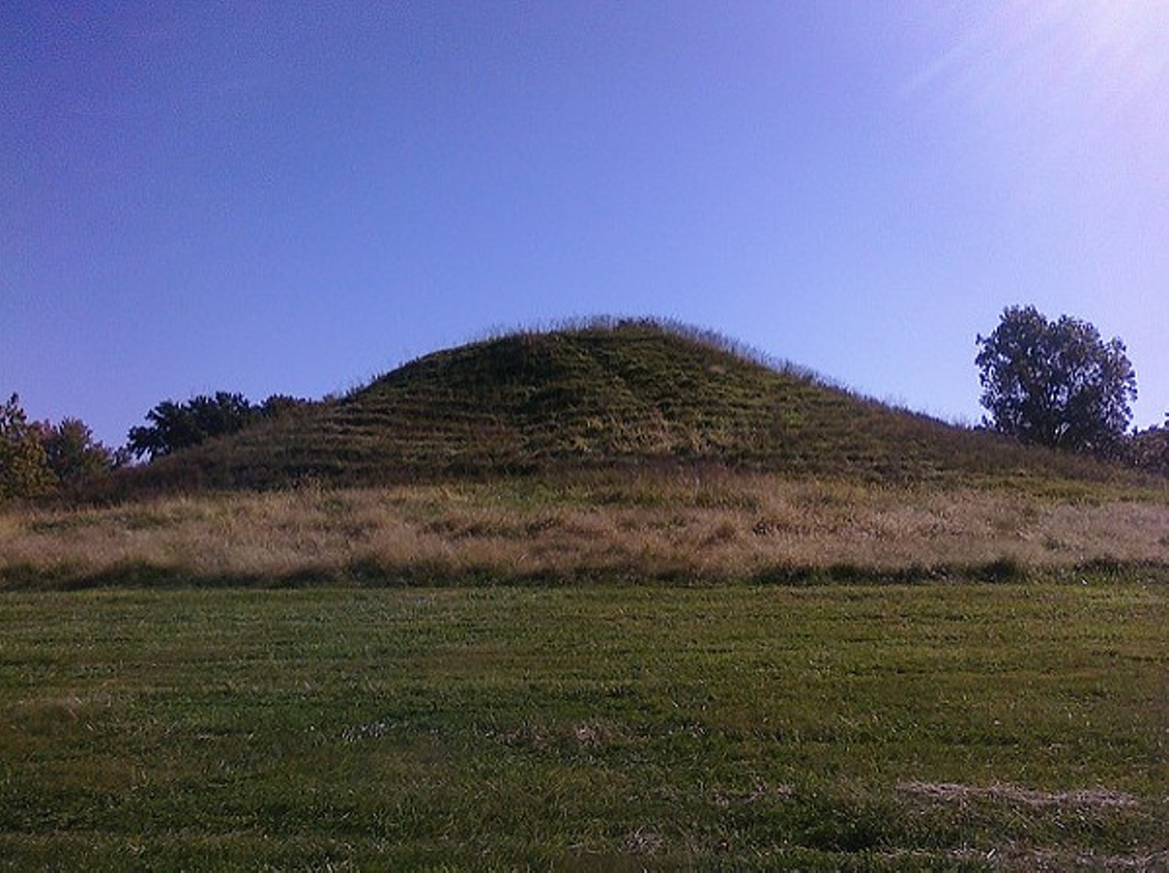 Cahokia Mounds Museum Society
The society works to preserve the "most sophisticated prehistoric native civilization north of Mexico" located in Collinsville, IL.
Find out more here.
Donate here.
Photo credit: Aaron Plewke / Flickr
