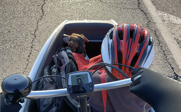 The author's bakfiets can hold a pup or a child — but after getting struck twice by cars, he's learned to be extremely wary of St. Louis drivers.