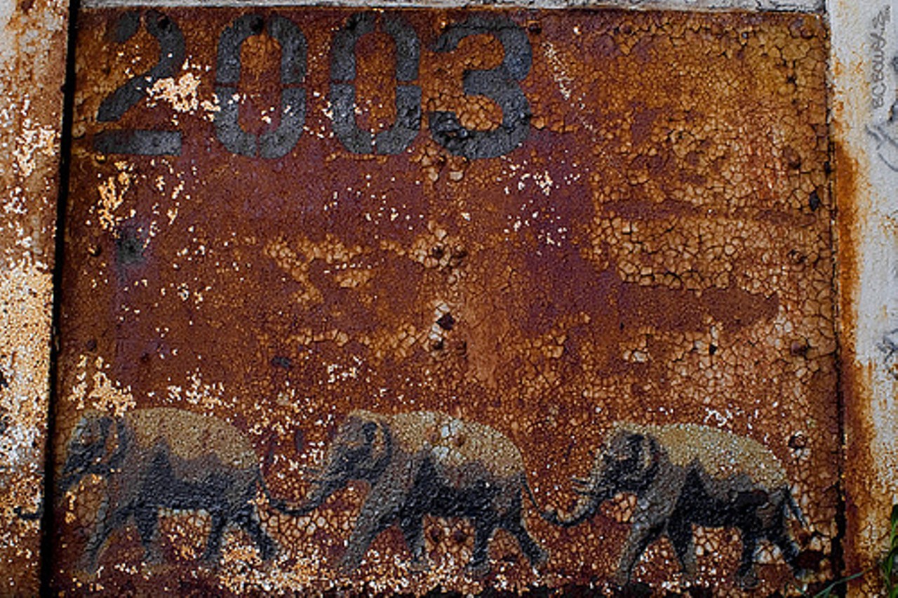Elephants by Peat Wollaeger. Read State of Street Art: Vandalism or legit, it's not going away by Keegan Hamilton.