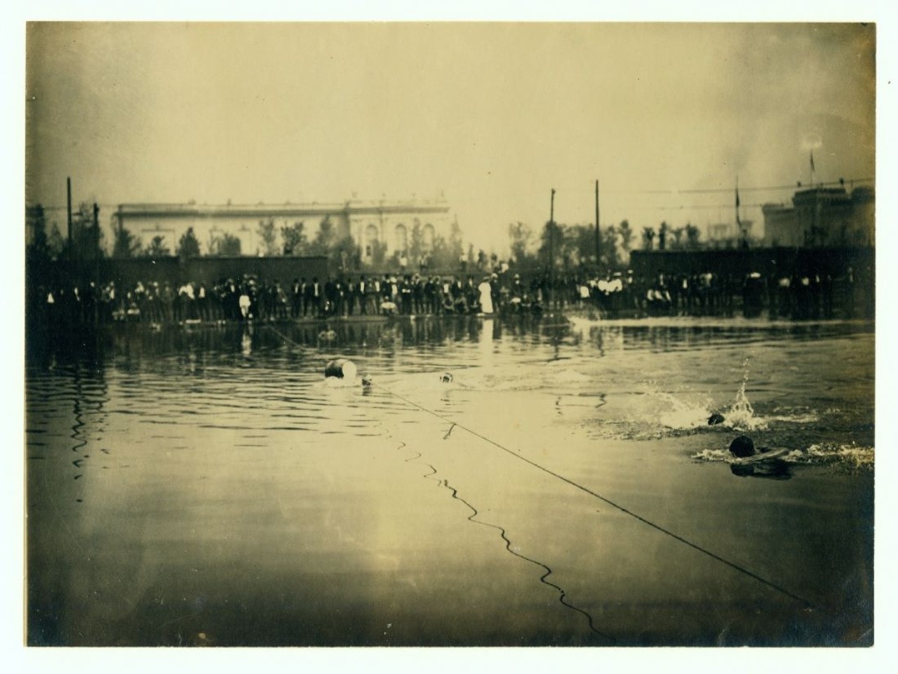 Finish of the First Heat of the 50 Yard Swim at the 1904 Olympics. 
Other places the games took place were Creve Coeur Lake for the rowing events and Glen Echo Park for golf.