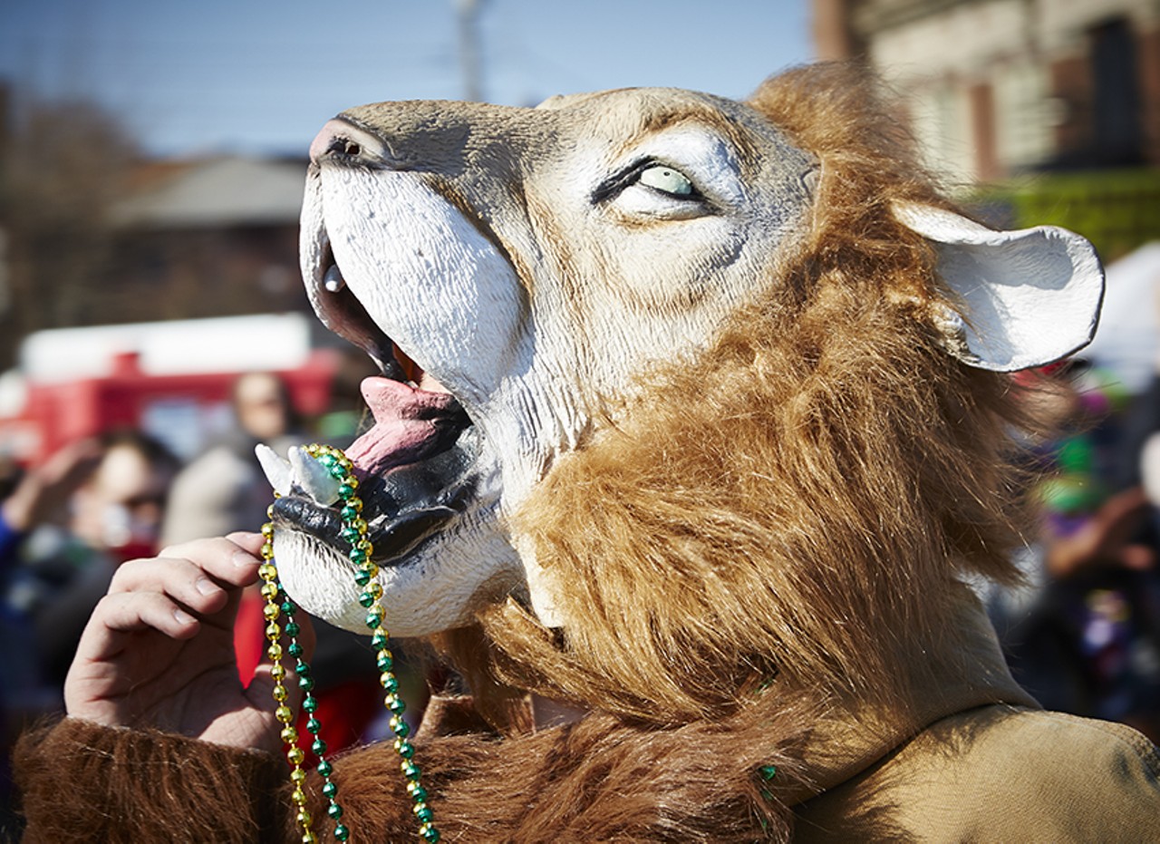 The king of the jungle became the king of Mardi Gras.