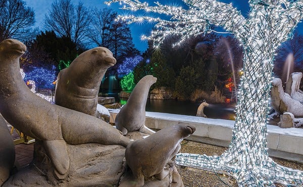 The Saint Louis Zoo’s Wild Nights display promises holiday fun for all the wild animals in your family.