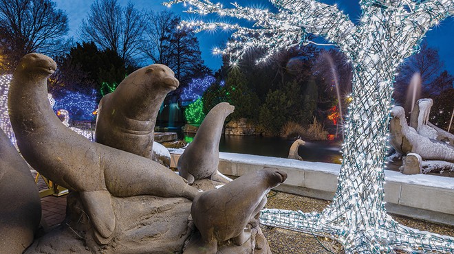The Saint Louis Zoo’s Wild Nights display promises holiday fun for all the wild animals in your family.