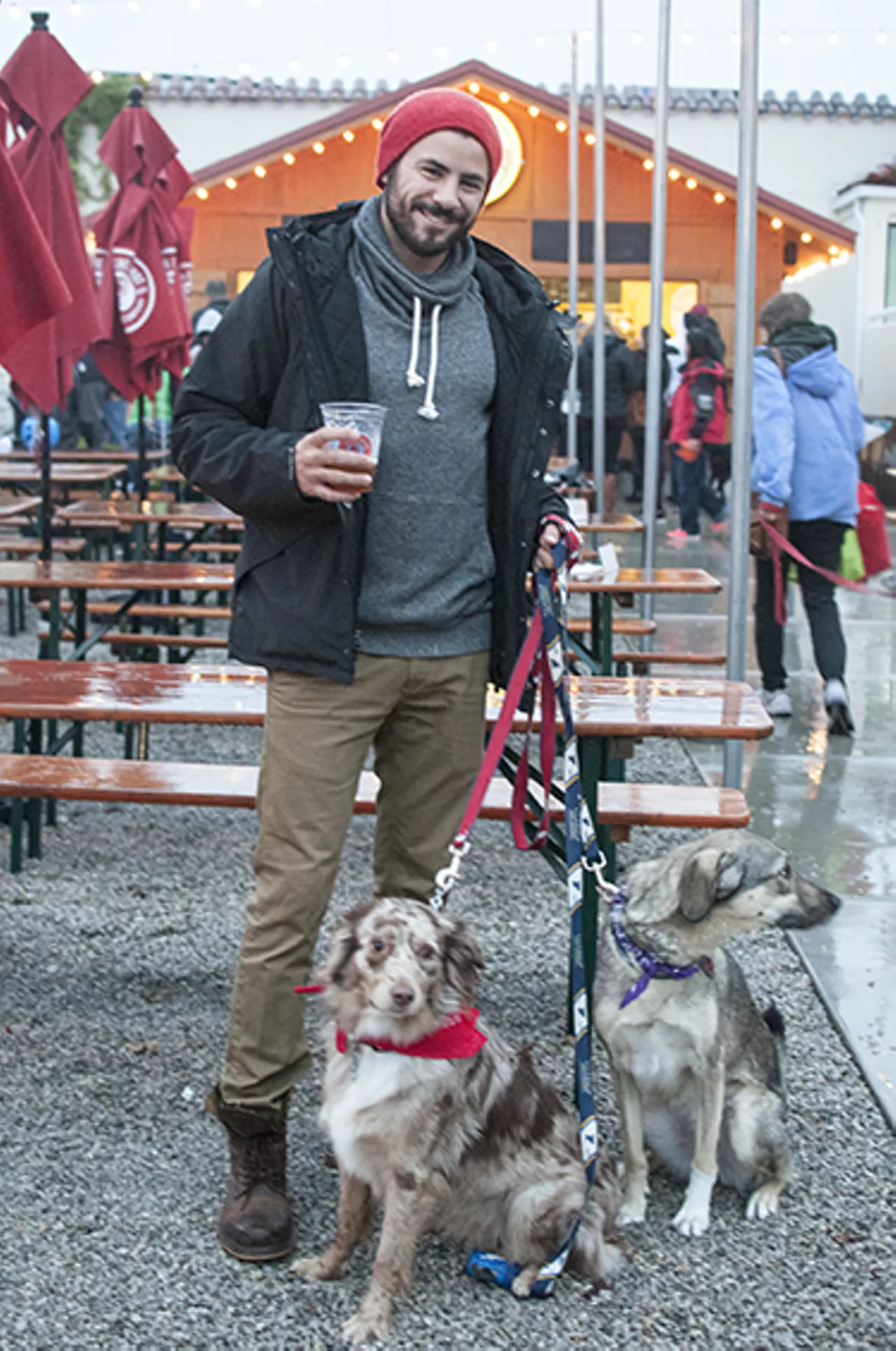 The Damp Dogs of Barktoberfest 2014