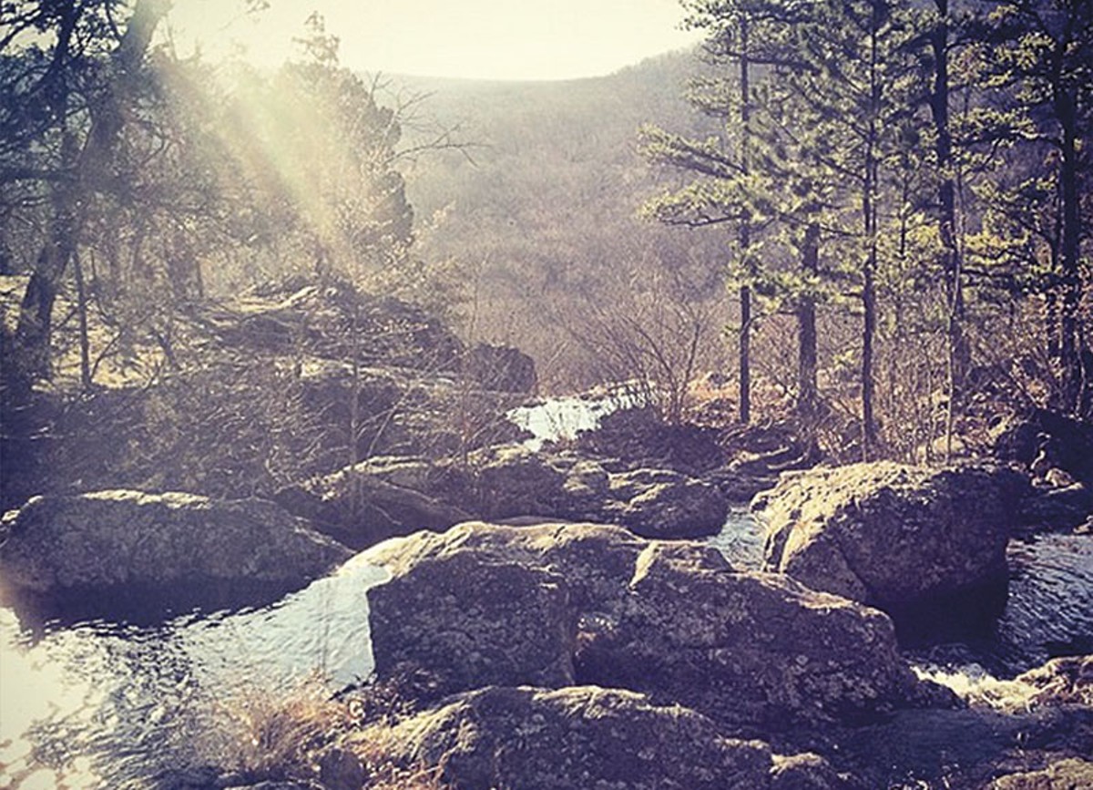 The beauty of the Ozarks is clear to visitors.