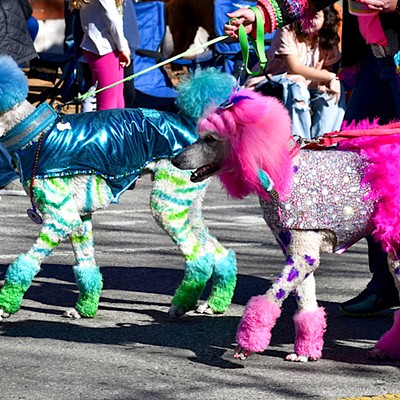 The Purina Pet Parade Brought Adorable Pets to Soulard [PHOTOS]