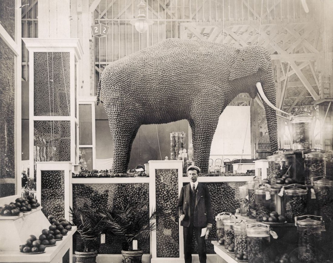 ELEPHANT MADE FROM ALMONDS IN THE CALIFORNIA EXHIBIT OF THE PALACE OF HORTICULTURE AT THE 1904 WORLD'S FAIR.
Find out more about this photo at MoHistory.org.