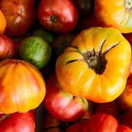 "The Good, the Big and the Ugly" Tomato Contest Invites You to Strut Your Tomato Stuff