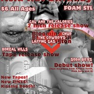 The Best St. Louis Punk/Hardcore Shows: February 2015