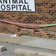 Jefferson Animal Hospital Closed After Dog Inadvertently Causes Car to Crash Into It