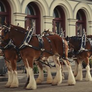 Budweiser Takes the High Road, Samuel Adams Lets the Horses Loose