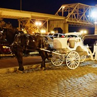 St. Louis Officials Call for Regulation of Horse-Drawn Carriages