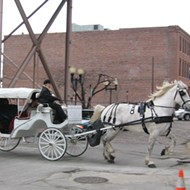 St. Louis is Trying to Intervene in MTC Horse Carriage Lawsuit