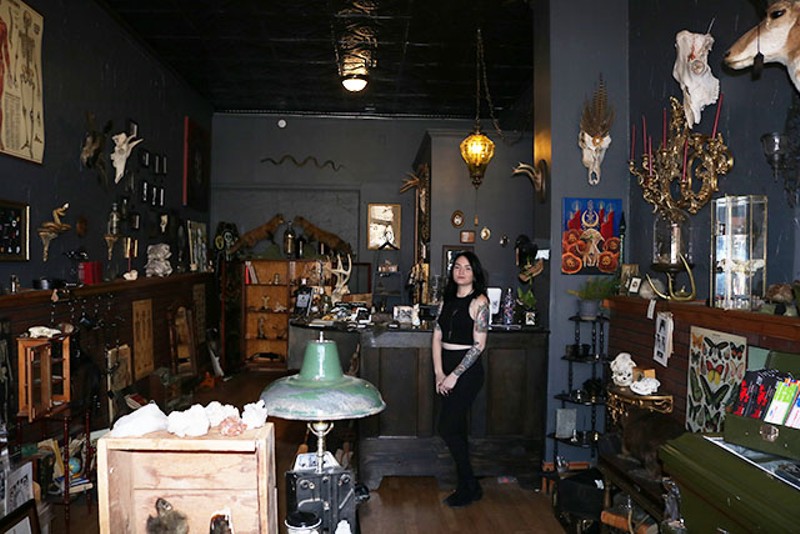 Cassandra Pace's curiosity shop has a particular interest in taxidermy. - MEGAN ANTHONY